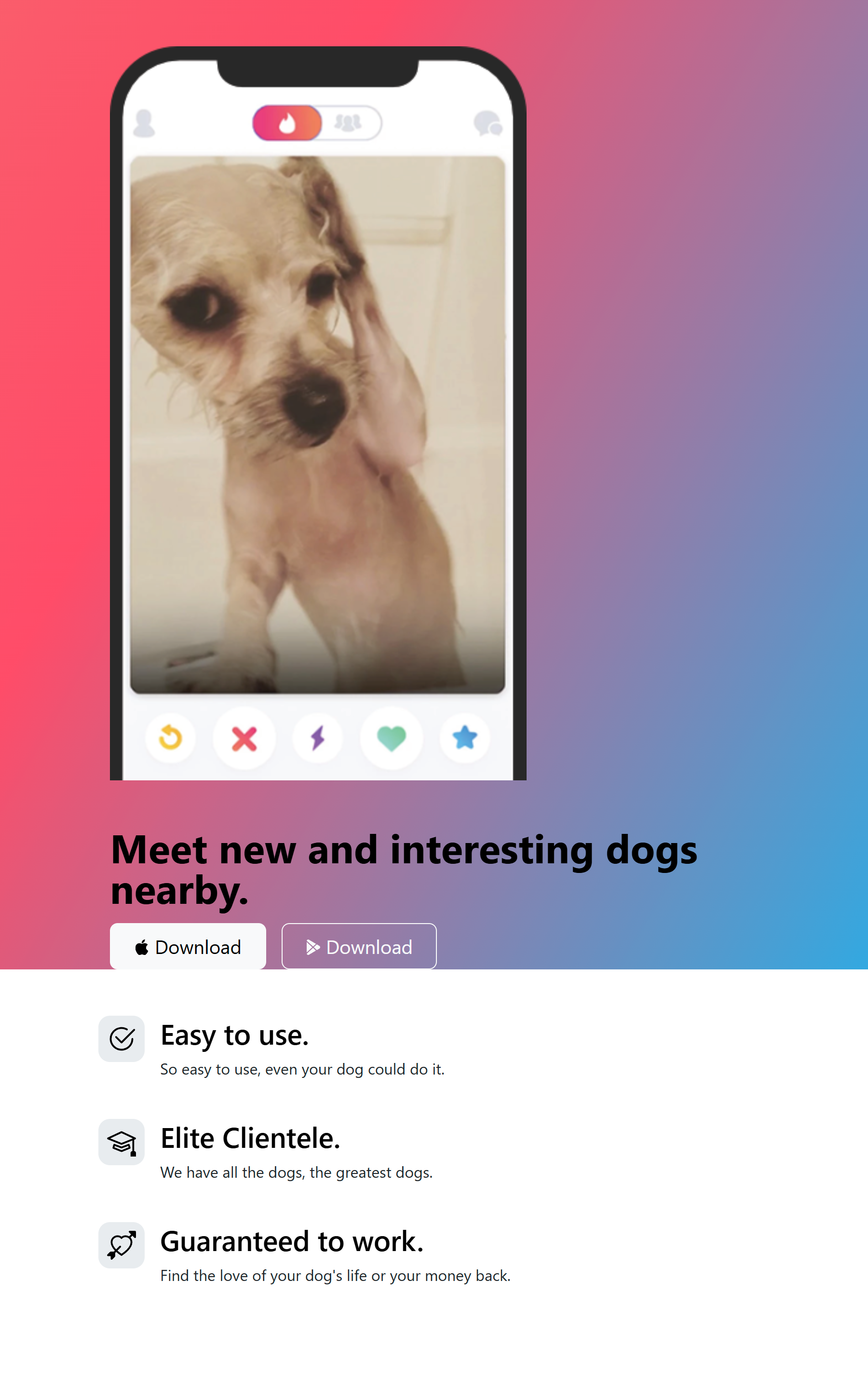 Screenshot of Tindog project